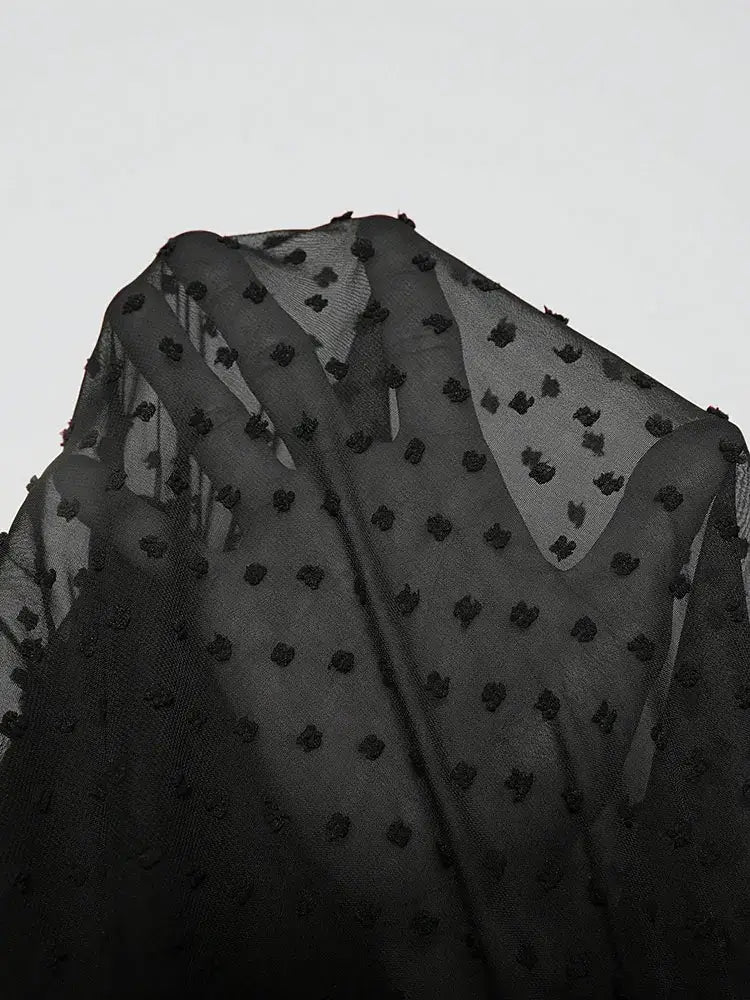 Women's Plus Size V-Neck Polka Dot A-Line Evening Dress