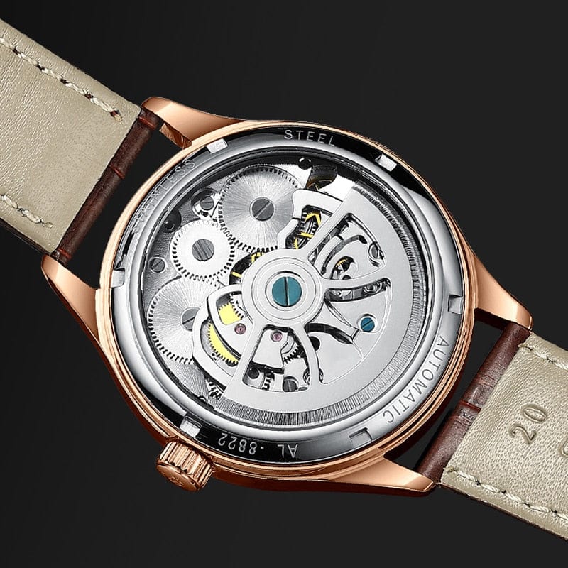 Men's AILANG Double Flywheel Automatic Mechanical Watch
