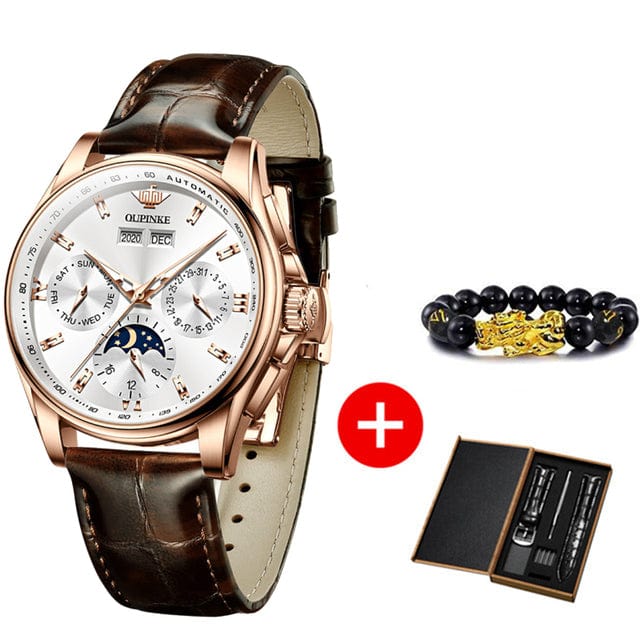 Men's Automatic Mechanical Sapphire Waterproof Watch